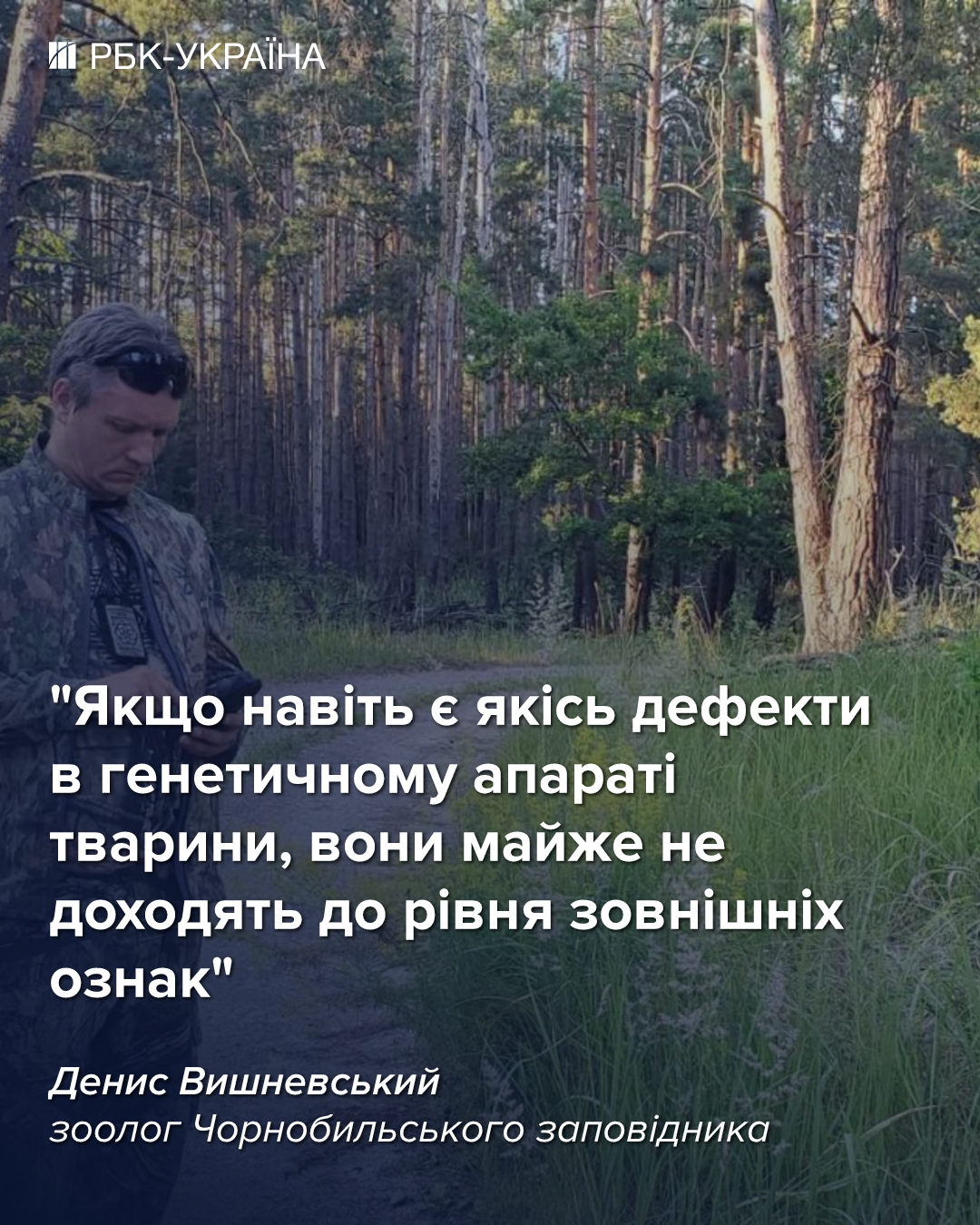 Чи водяться мутанти у Чорнобилі та хто живе у рудому лісі: бліц про тварин зони відчуження